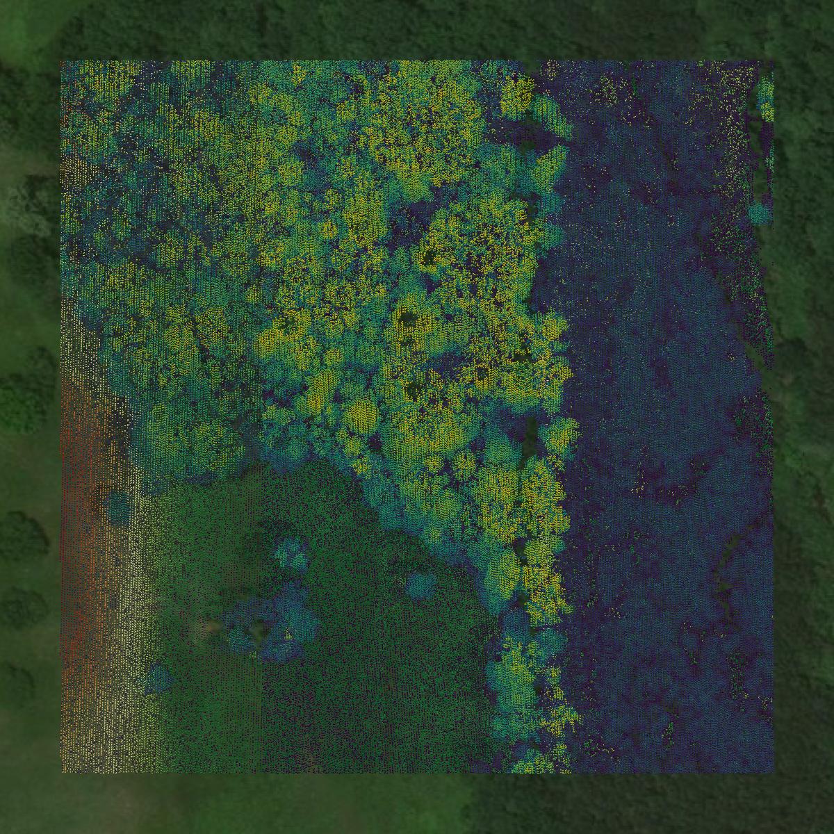 This image shows a LiDAR point cloud in Leake County created using GIS data in Equator.