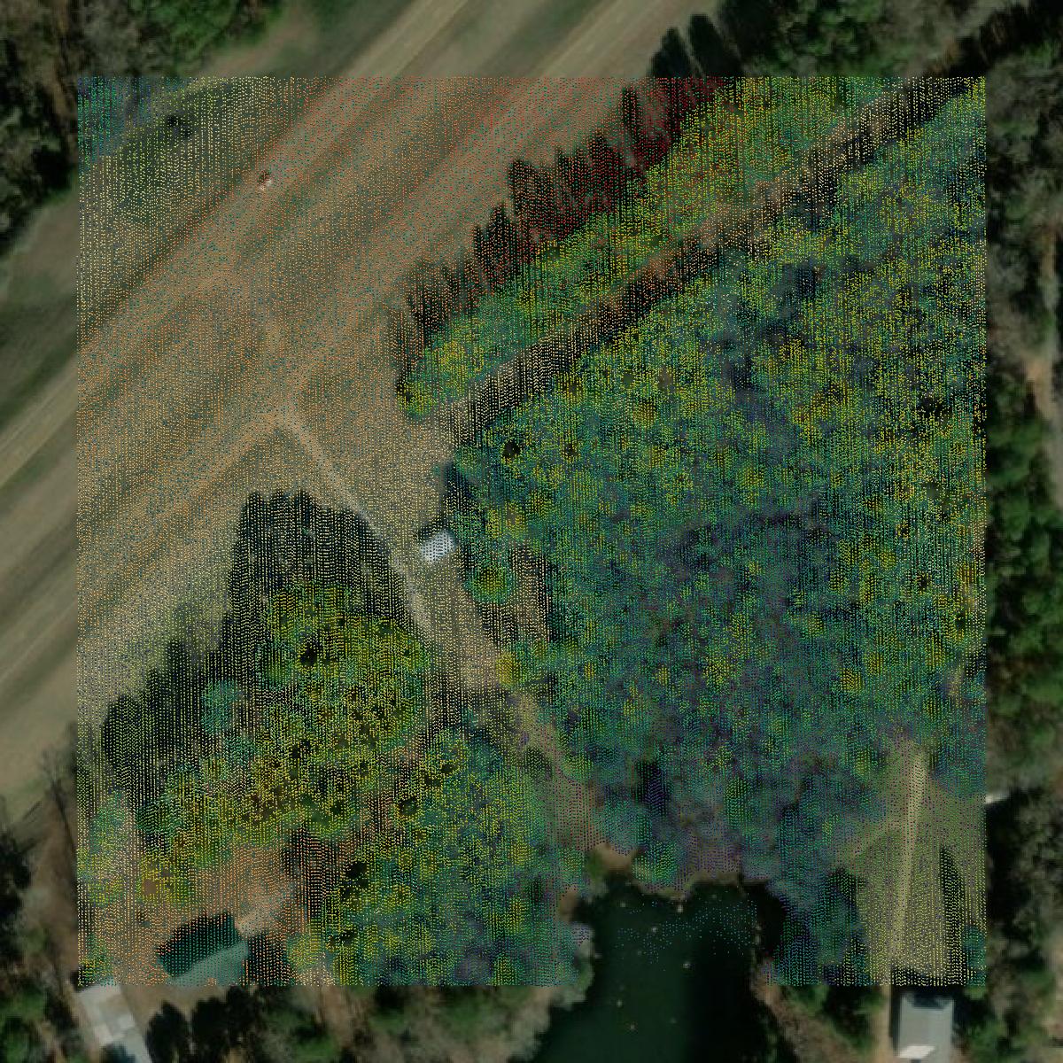 This image shows a LiDAR point cloud in Leake County created using GIS data in Equator.