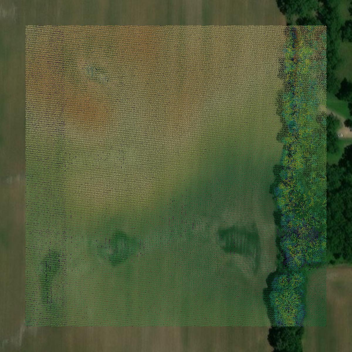 This image shows a LiDAR point cloud in Lee County created using GIS data in Equator.