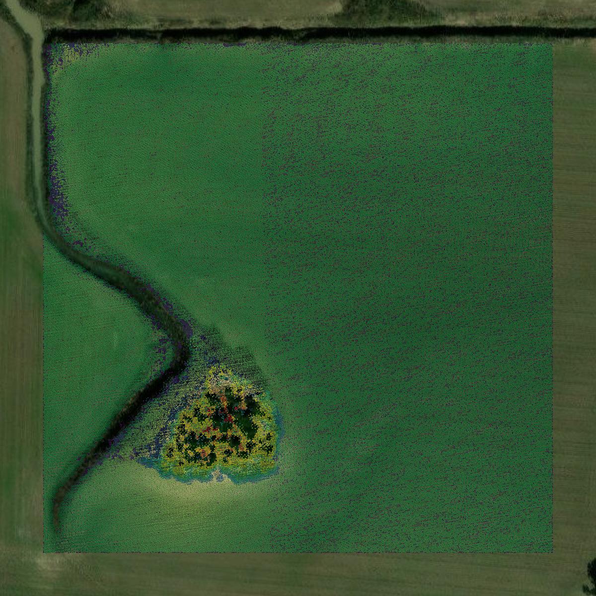 This image shows a LiDAR point cloud in Lee County created using GIS data in Equator.