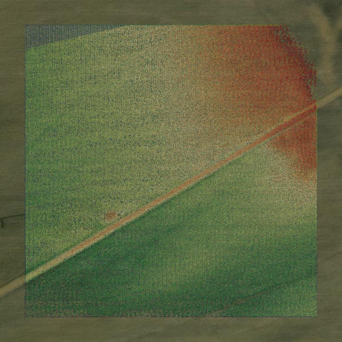 This image shows a LiDAR point cloud in Leflore County created using GIS data in Equator.