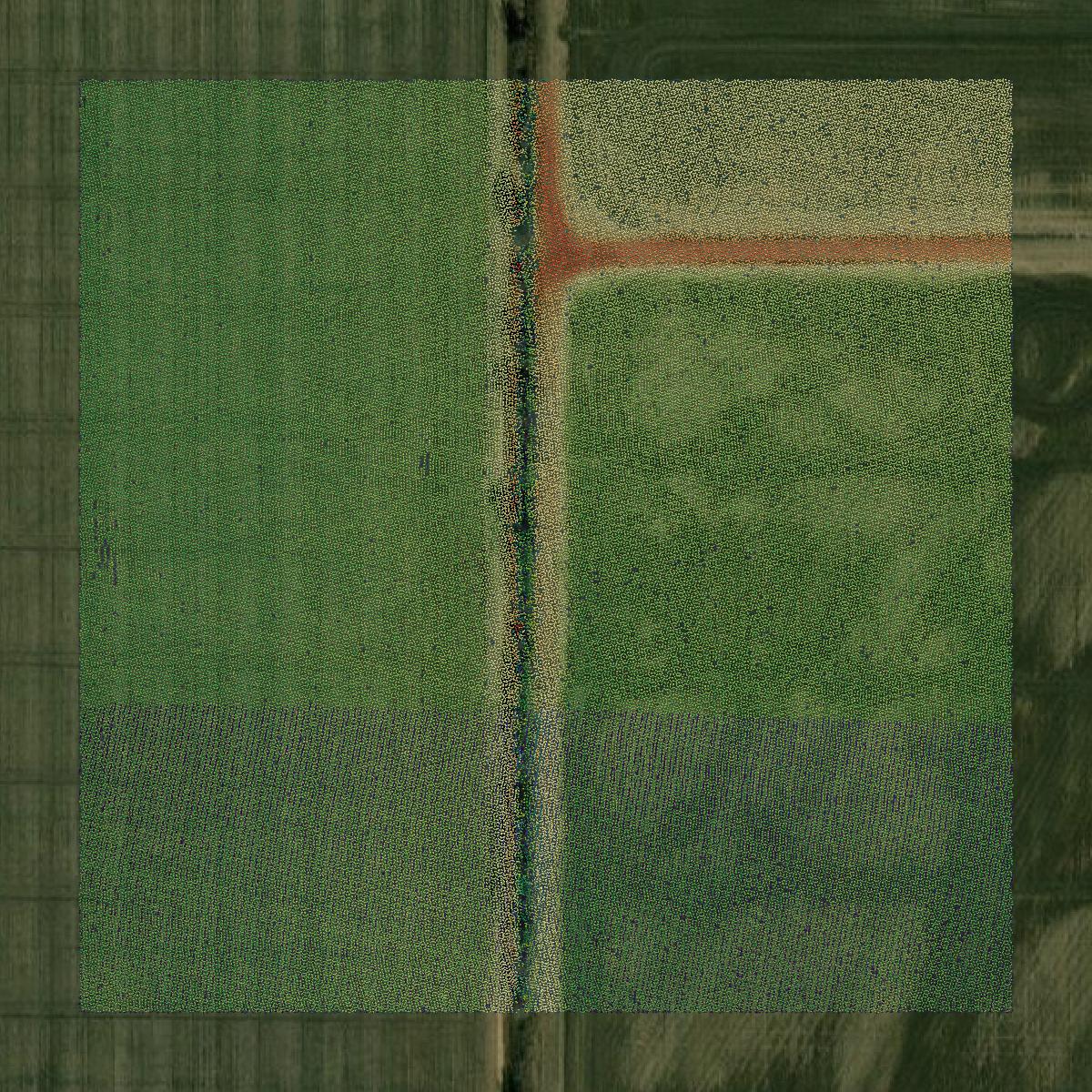 This image shows a LiDAR point cloud in Leflore County created using GIS data in Equator.