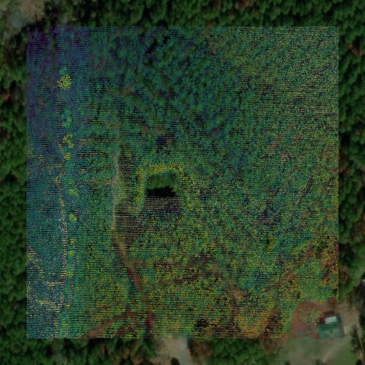This image shows a LiDAR point cloud in Lincoln County created using GIS data in Equator.