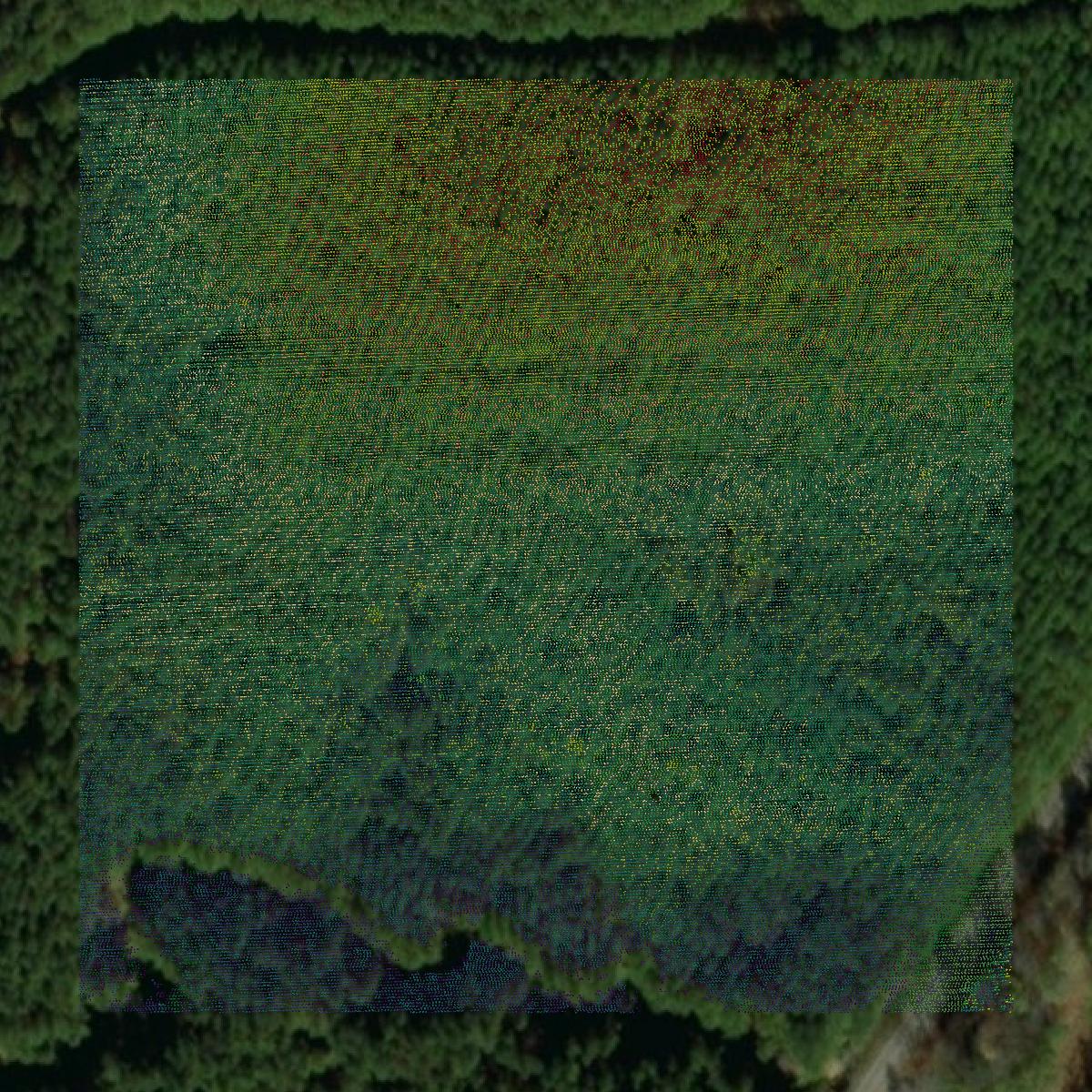 This image shows a LiDAR point cloud in Lincoln County created using GIS data in Equator.