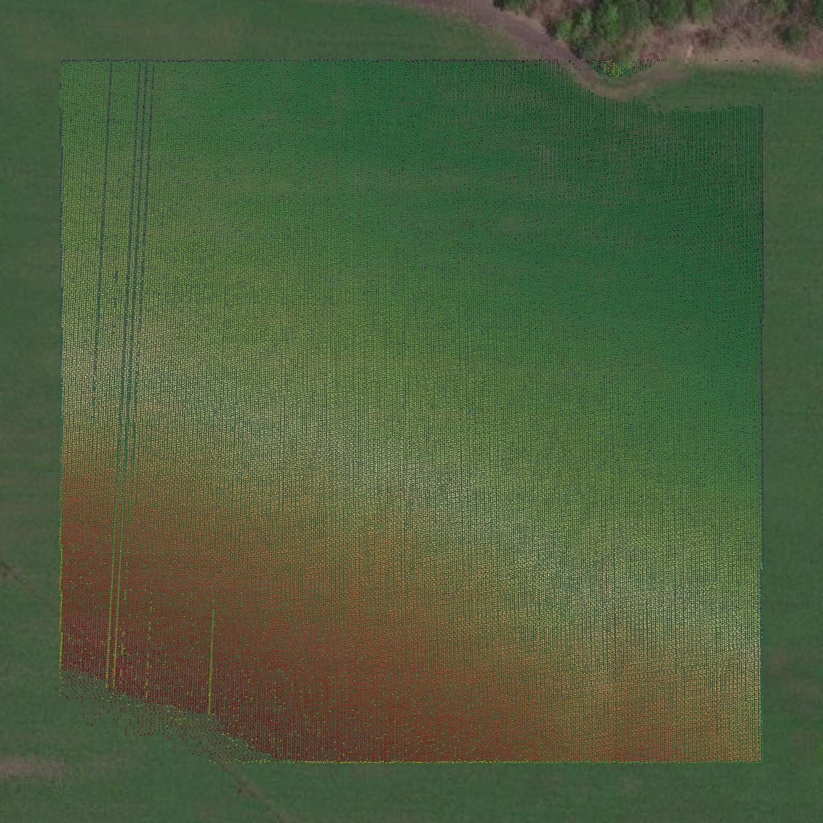 This image shows a LiDAR point cloud in Lowndes County created using GIS data in Equator.