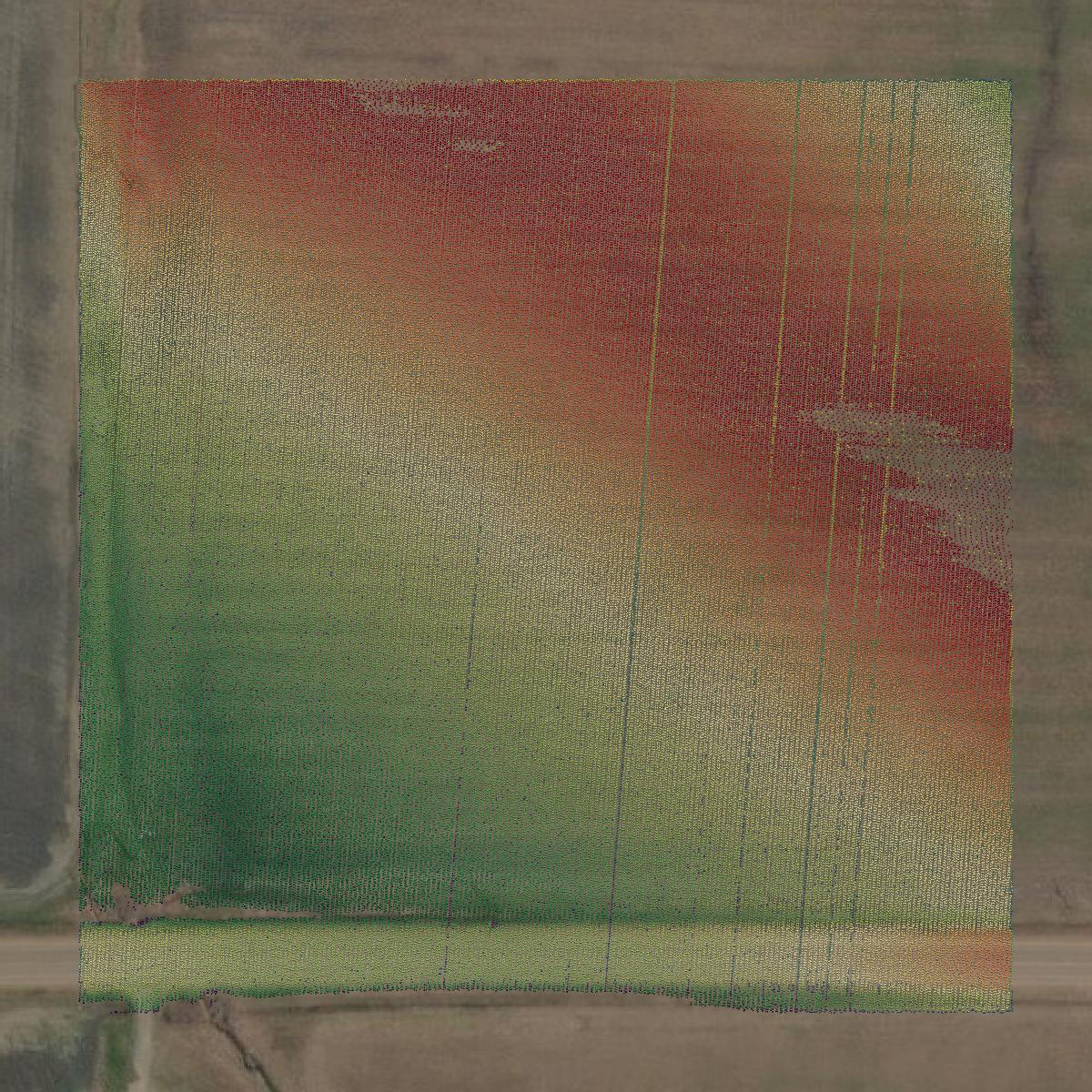 This image shows a LiDAR point cloud in Lowndes County created using GIS data in Equator.