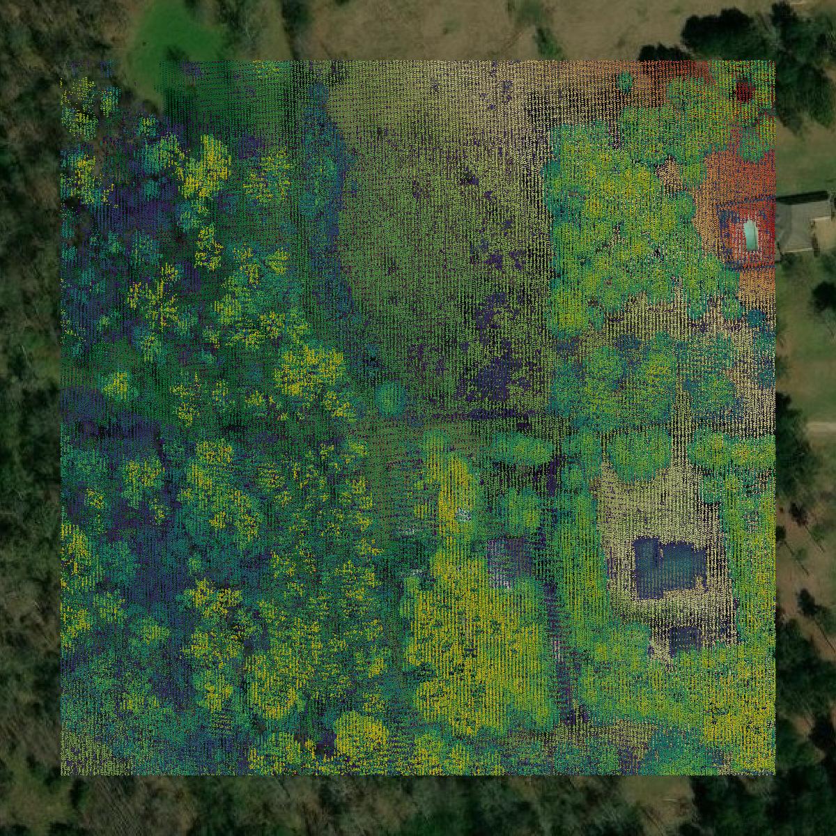This image shows a LiDAR point cloud in Madison County created using GIS data in Equator.