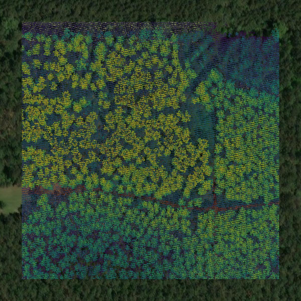 This image shows a LiDAR point cloud in Marion County created using GIS data in Equator.