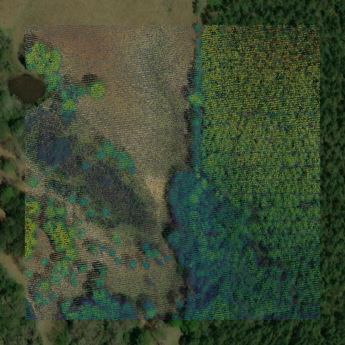 This image shows a LiDAR point cloud in Marion County created using GIS data in Equator.