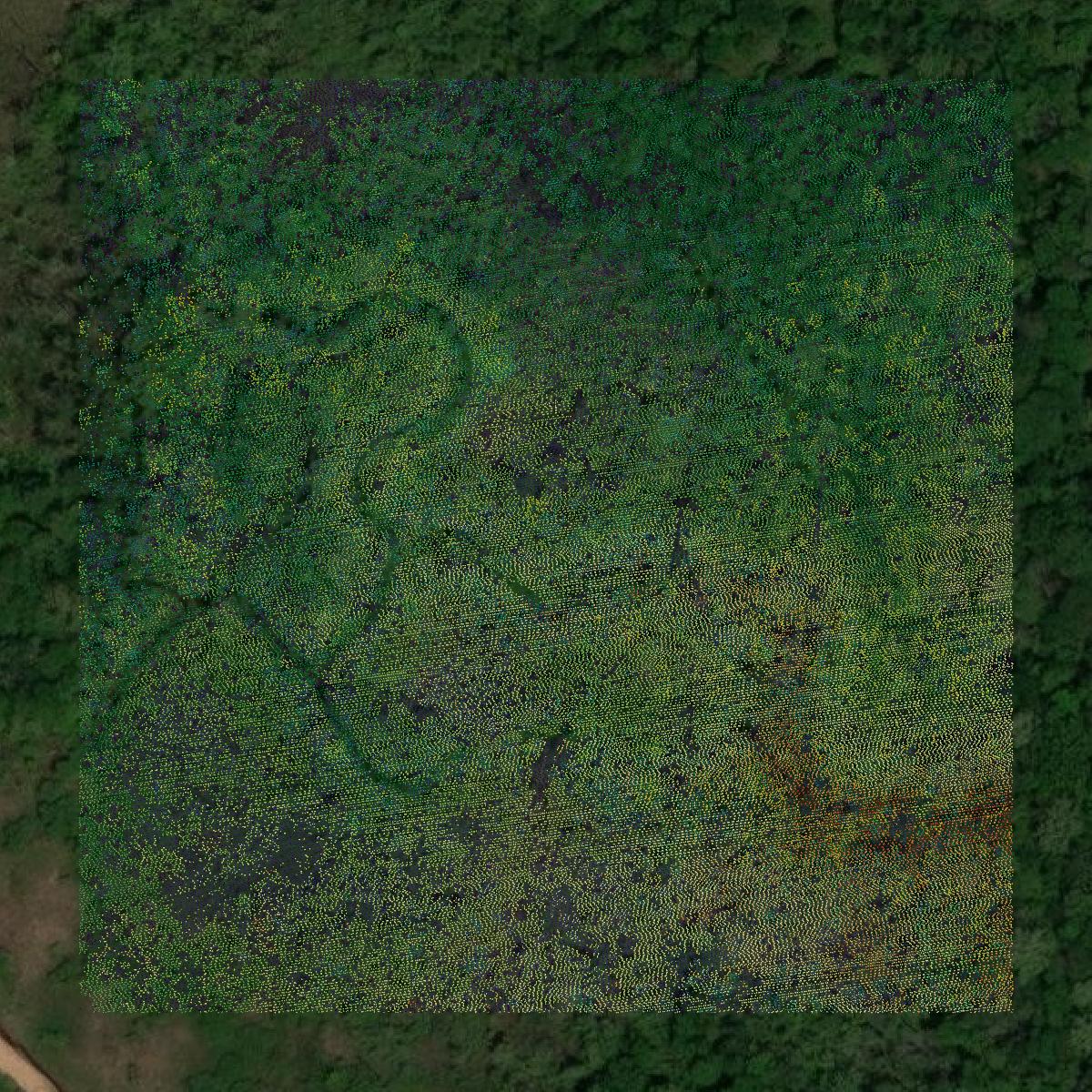 This image shows a LiDAR point cloud in Marshall County created using GIS data in Equator.