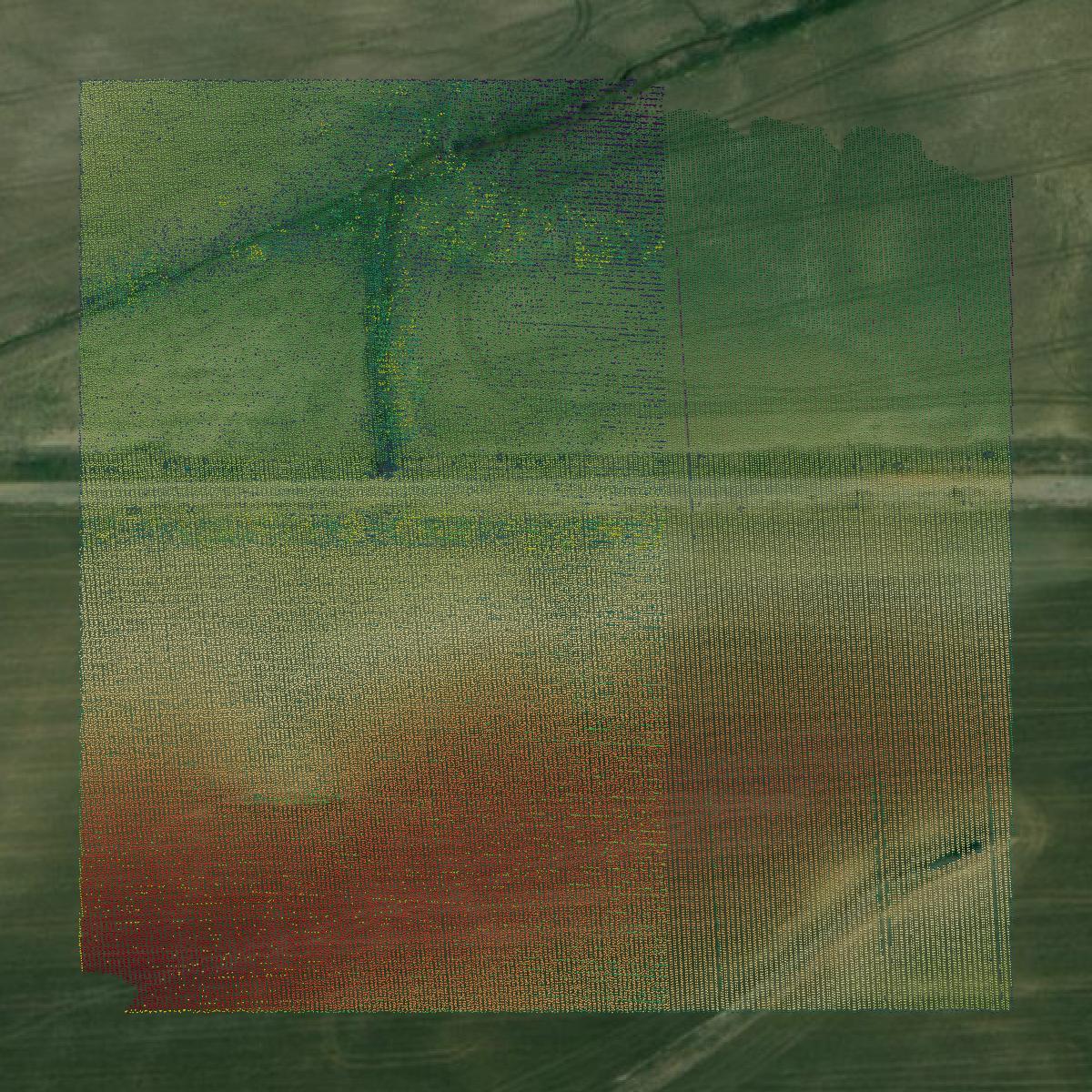 This image shows a LiDAR point cloud in Monroe County created using GIS data in Equator.