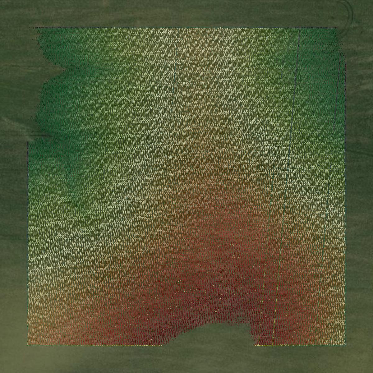 This image shows a LiDAR point cloud in Monroe County created using GIS data in Equator.