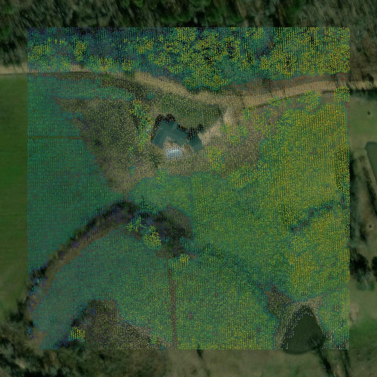 This image shows a LiDAR point cloud in Montgomery County created using GIS data in Equator.