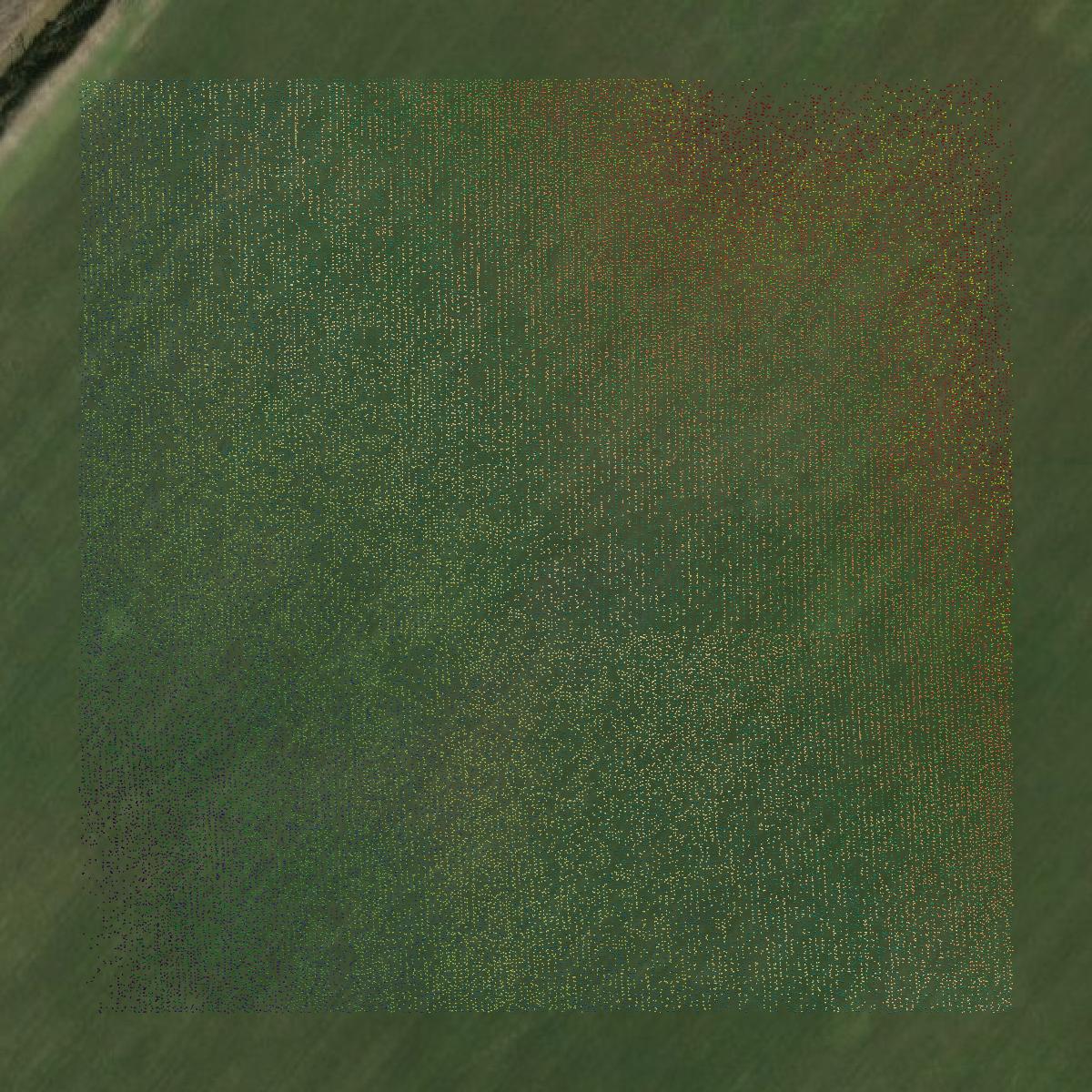This image shows a LiDAR point cloud in Montgomery County created using GIS data in Equator.