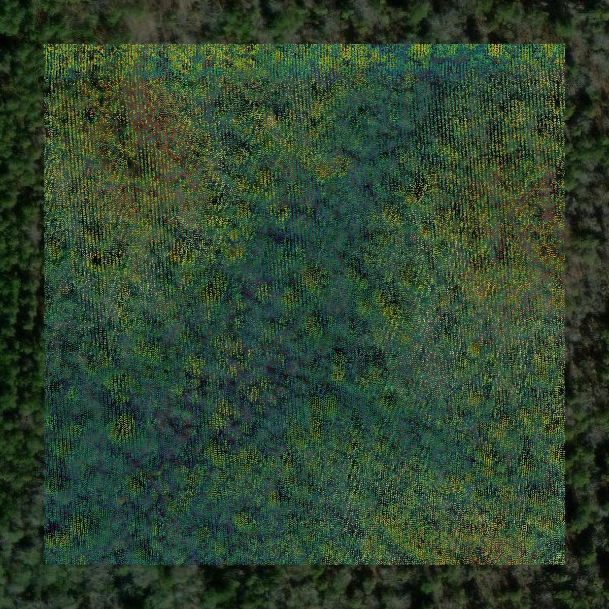 This image shows a LiDAR point cloud in Neshoba County created using GIS data in Equator.