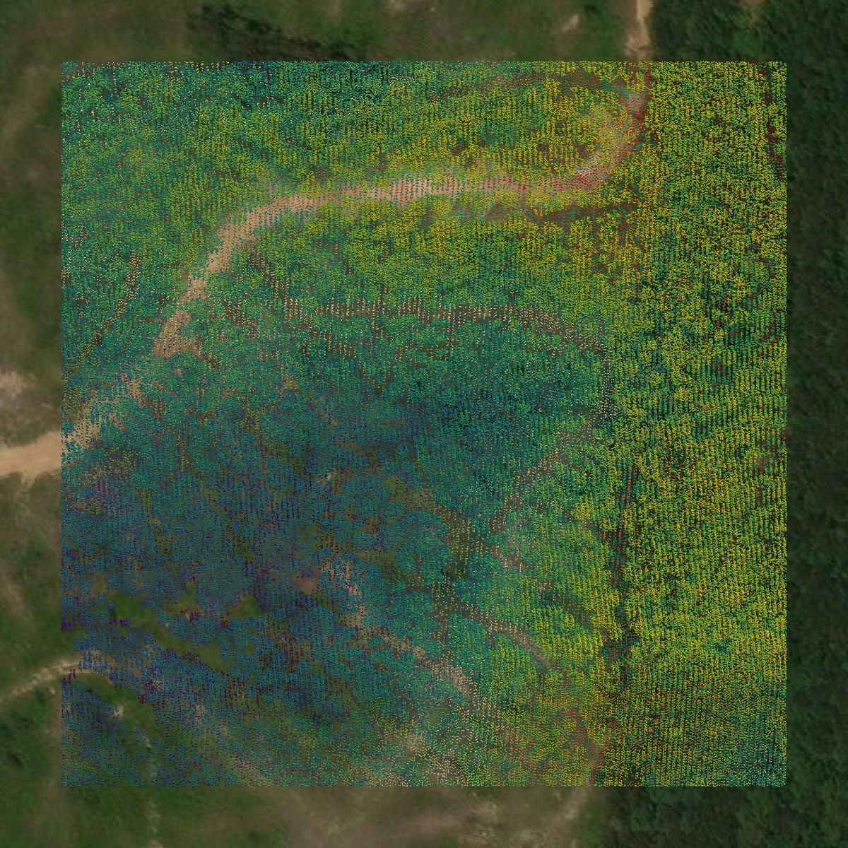 This image shows a LiDAR point cloud in Neshoba County created using GIS data in Equator.
