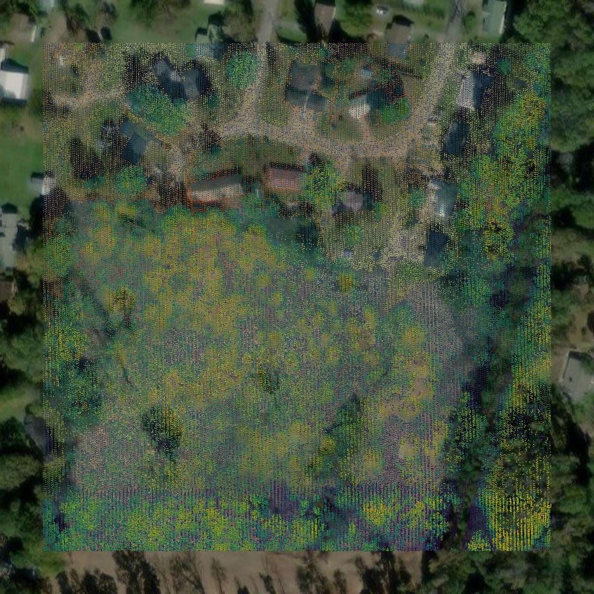 This image shows a LiDAR point cloud in Newton County created using GIS data in Equator.