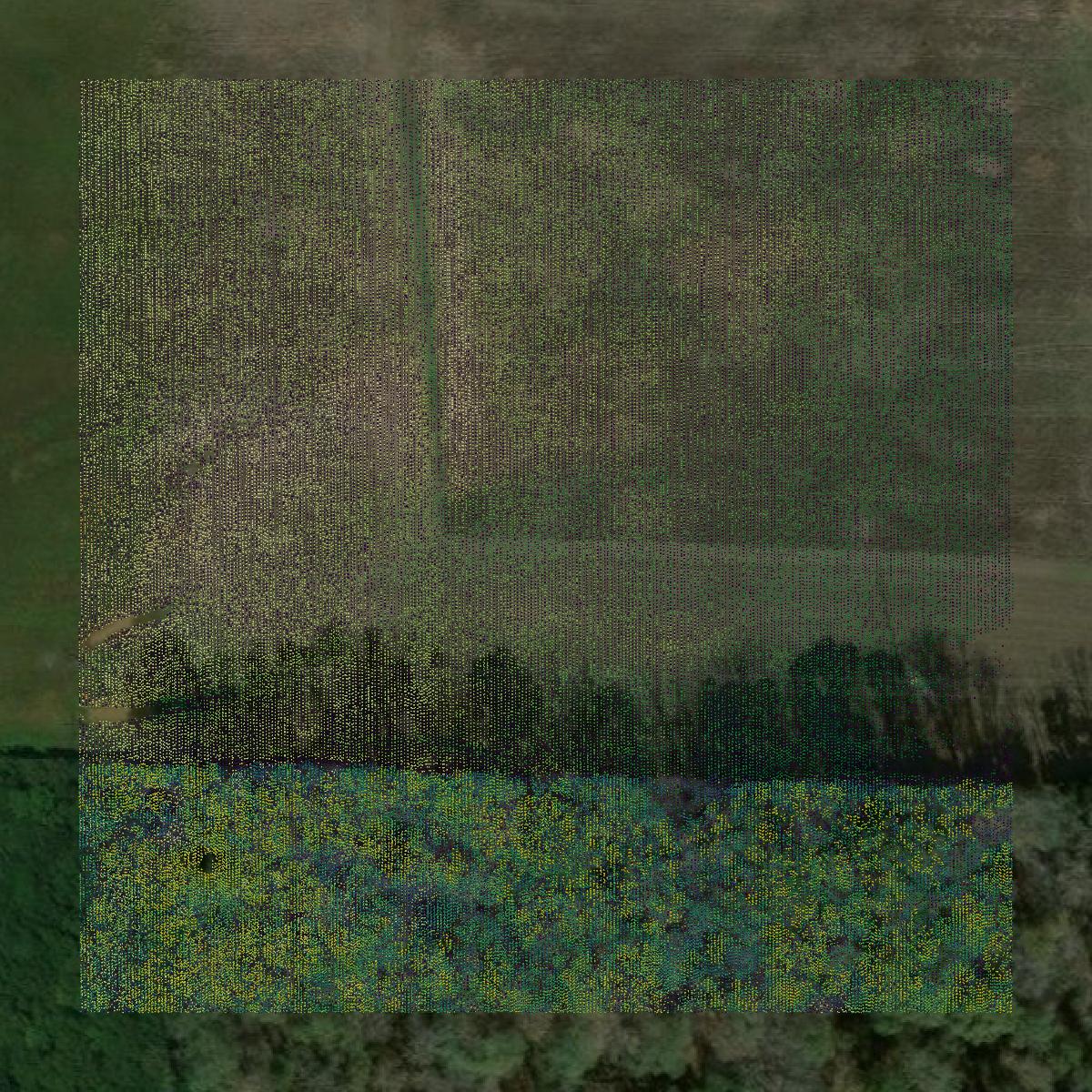 This image shows a LiDAR point cloud in Newton County created using GIS data in Equator.