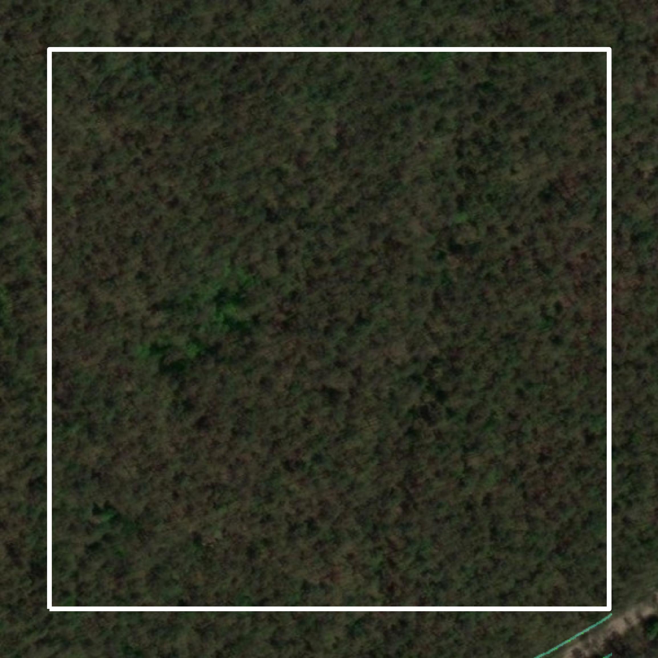 This image shows parcel and building data in Noxubee County created using GIS data in Equator.