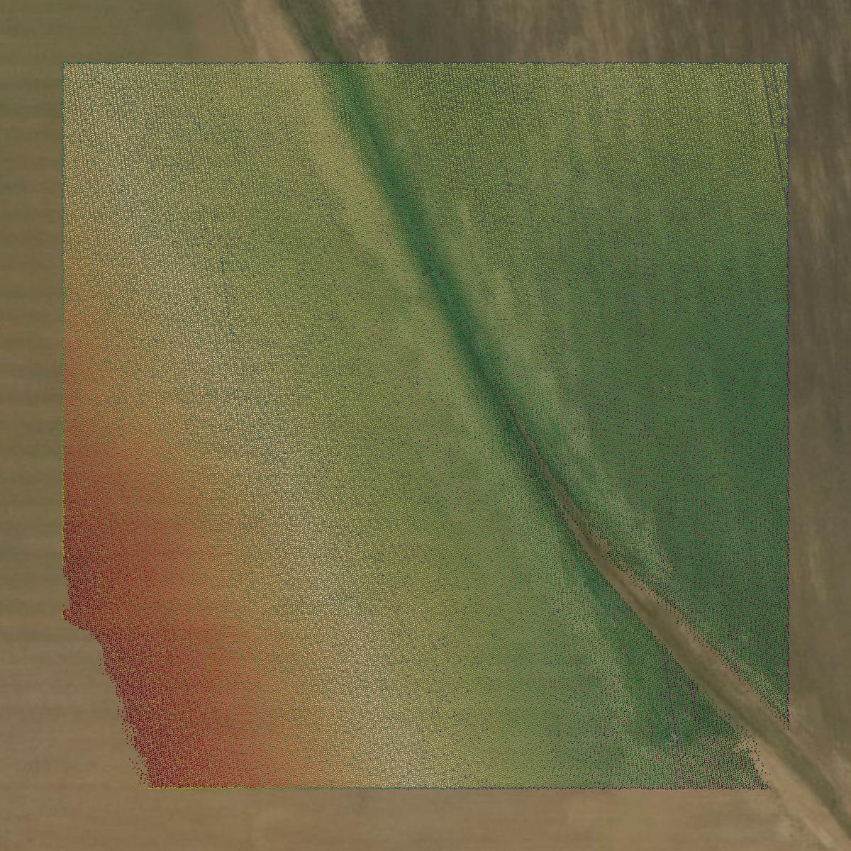 This image shows a LiDAR point cloud in Noxubee County created using GIS data in Equator.