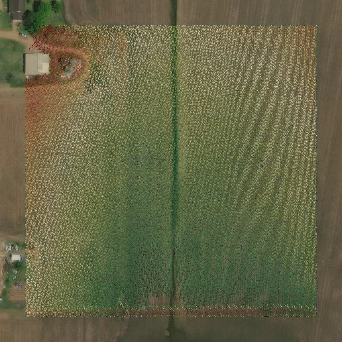 This image shows a LiDAR point cloud in Noxubee County created using GIS data in Equator.