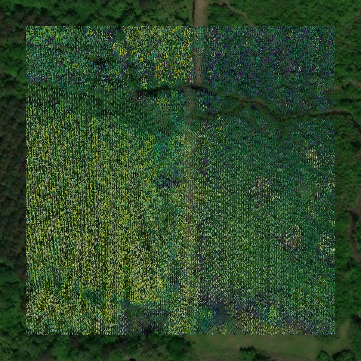This image shows a LiDAR point cloud in Oktibbeha County created using GIS data in Equator.