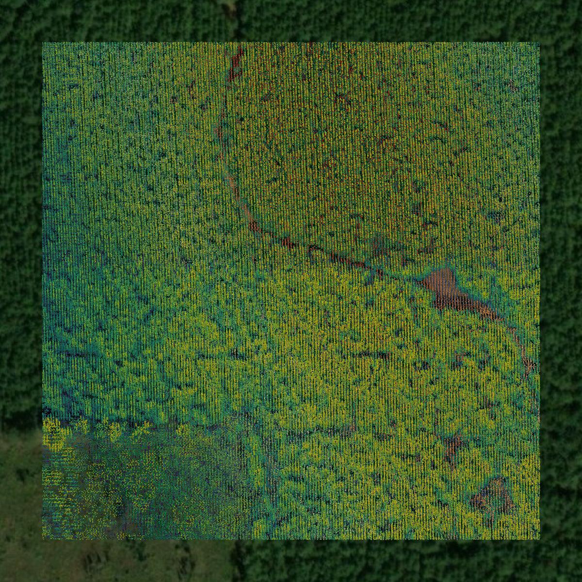 This image shows a LiDAR point cloud in Oktibbeha County created using GIS data in Equator.
