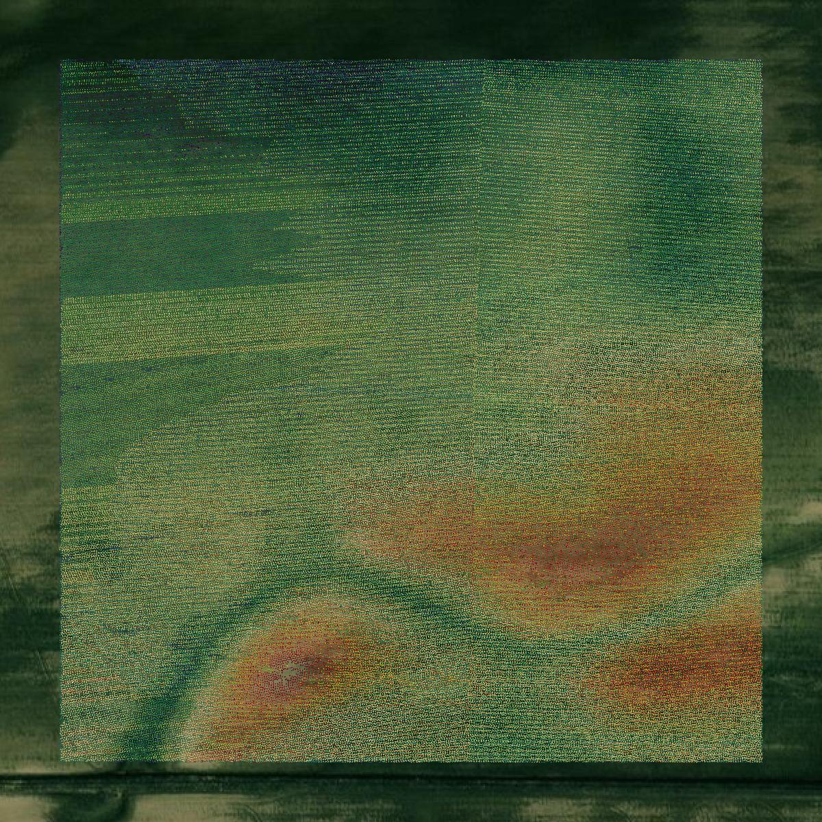 This image shows a LiDAR point cloud in Panola County created using GIS data in Equator.