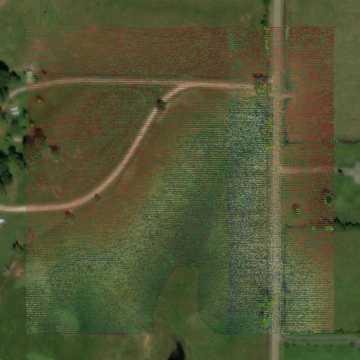 This image shows a LiDAR point cloud in Pearl River County created using GIS data in Equator.