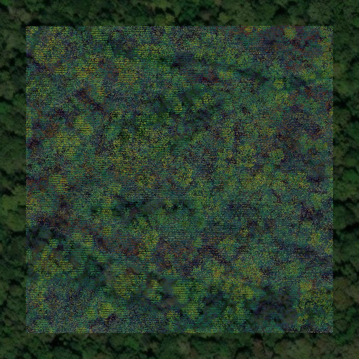 This image shows a LiDAR point cloud in Pearl River County created using GIS data in Equator.