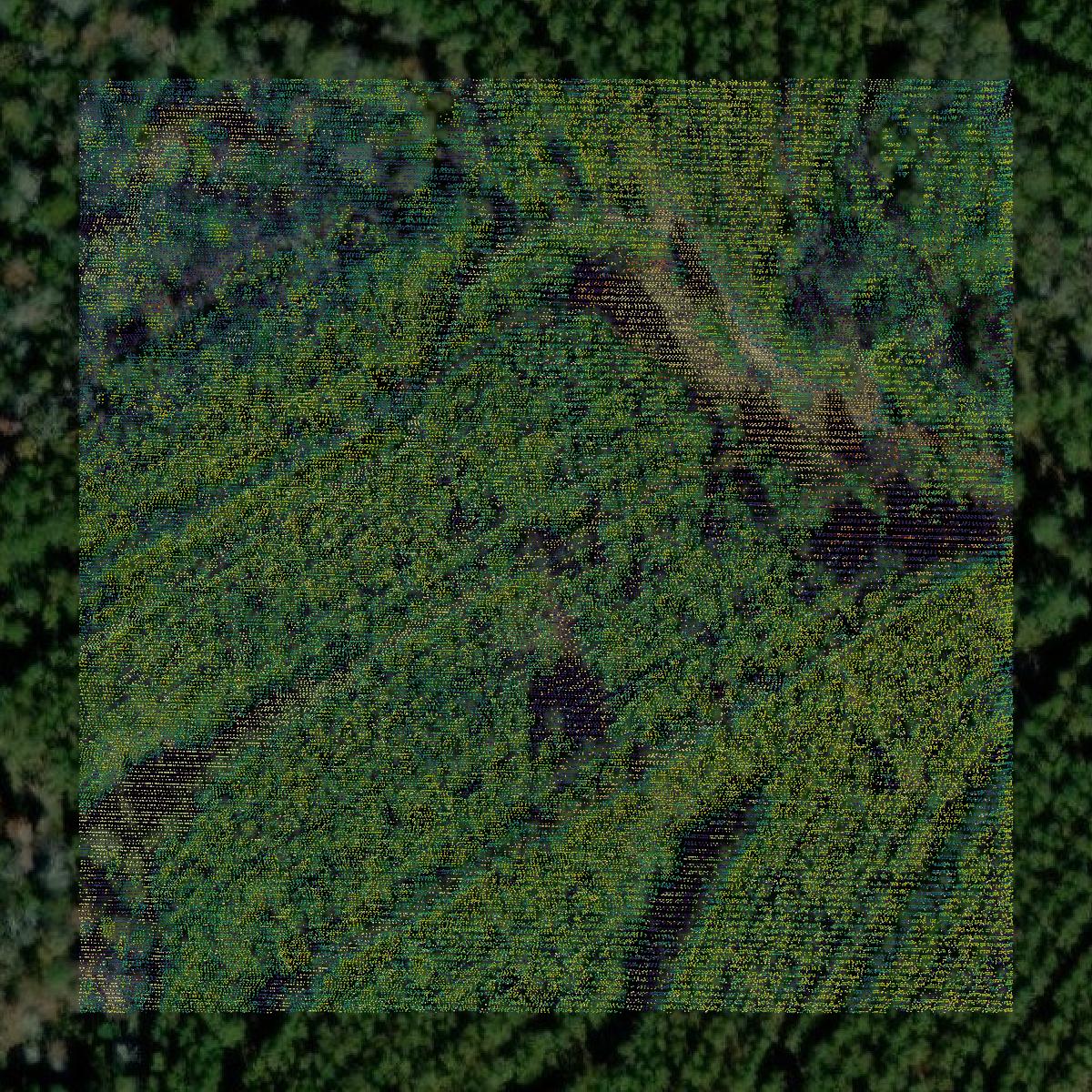 This image shows a LiDAR point cloud in Perry County created using GIS data in Equator.