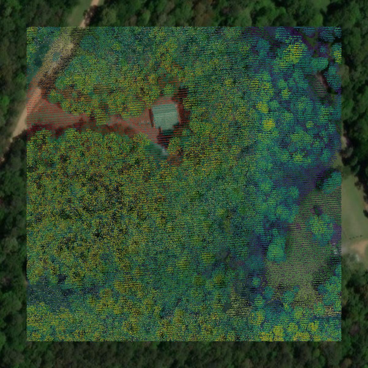 This image shows a LiDAR point cloud in Pike County created using GIS data in Equator.