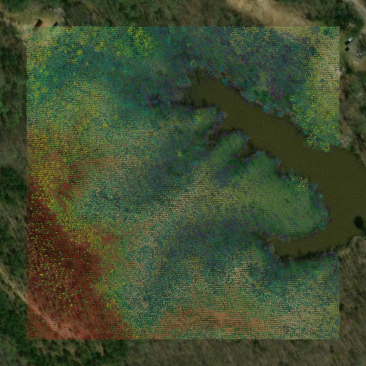 This image shows a LiDAR point cloud in Prentiss County created using GIS data in Equator.