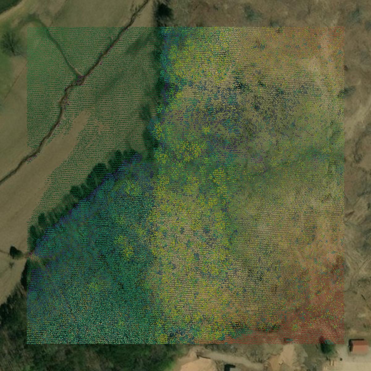 This image shows a LiDAR point cloud in Prentiss County created using GIS data in Equator.