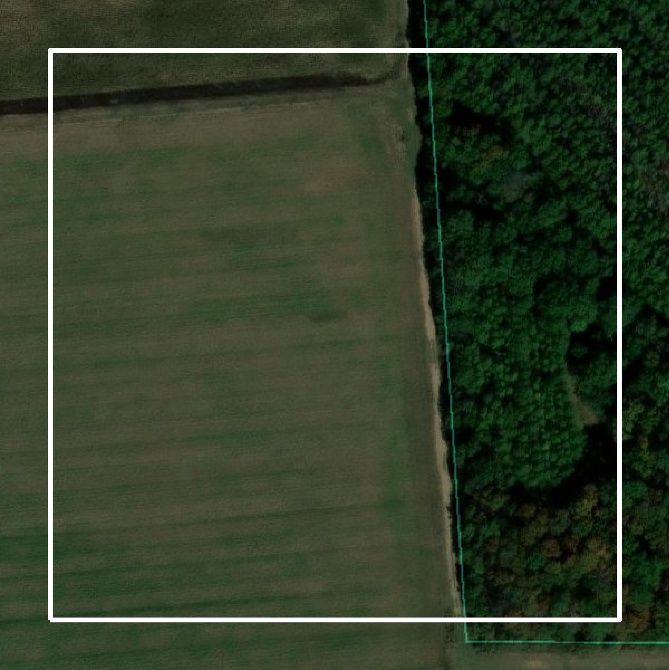 This image shows parcel and building data in Quitman County created using GIS data in Equator.