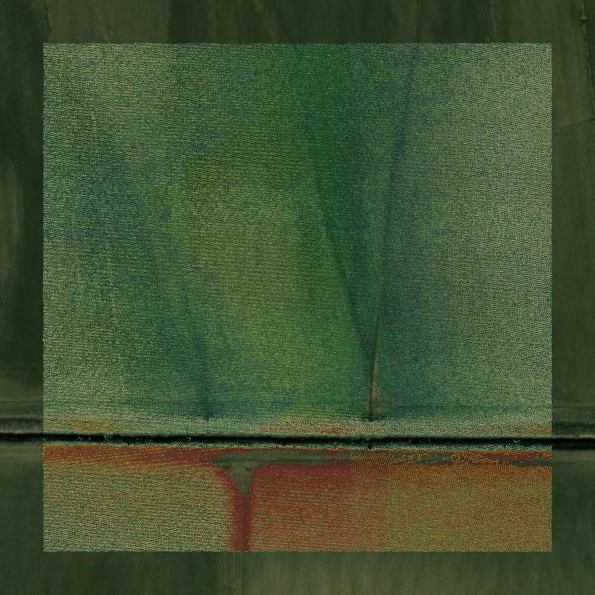 This image shows a LiDAR point cloud in Quitman County created using GIS data in Equator.