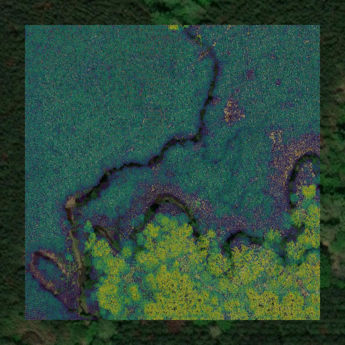 This image shows a LiDAR point cloud in Rankin County created using GIS data in Equator.
