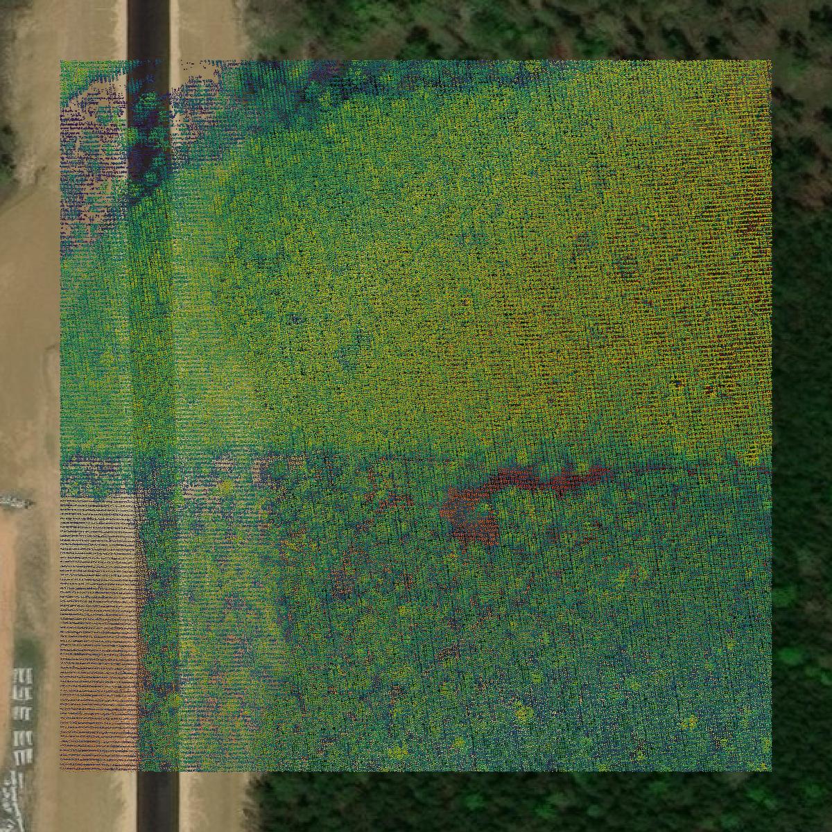 This image shows a LiDAR point cloud in Rankin County created using GIS data in Equator.