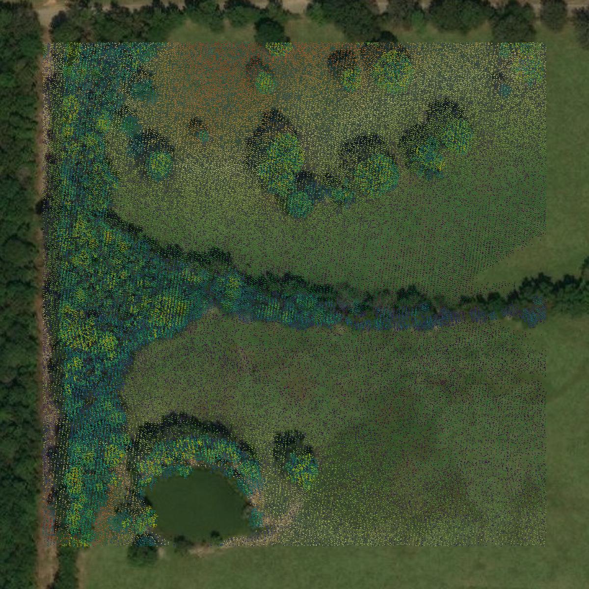 This image shows a LiDAR point cloud in Scott County created using GIS data in Equator.