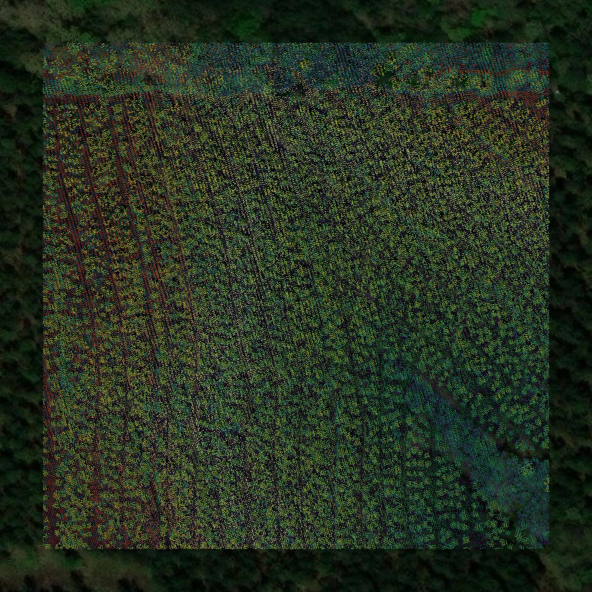 This image shows a LiDAR point cloud in Scott County created using GIS data in Equator.