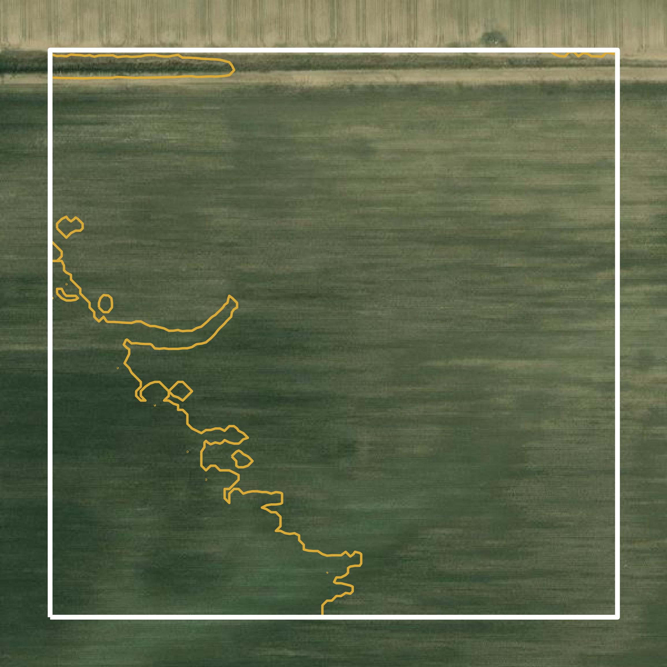 This image shows a contour map in Sharkey County created using GIS data in Equator.