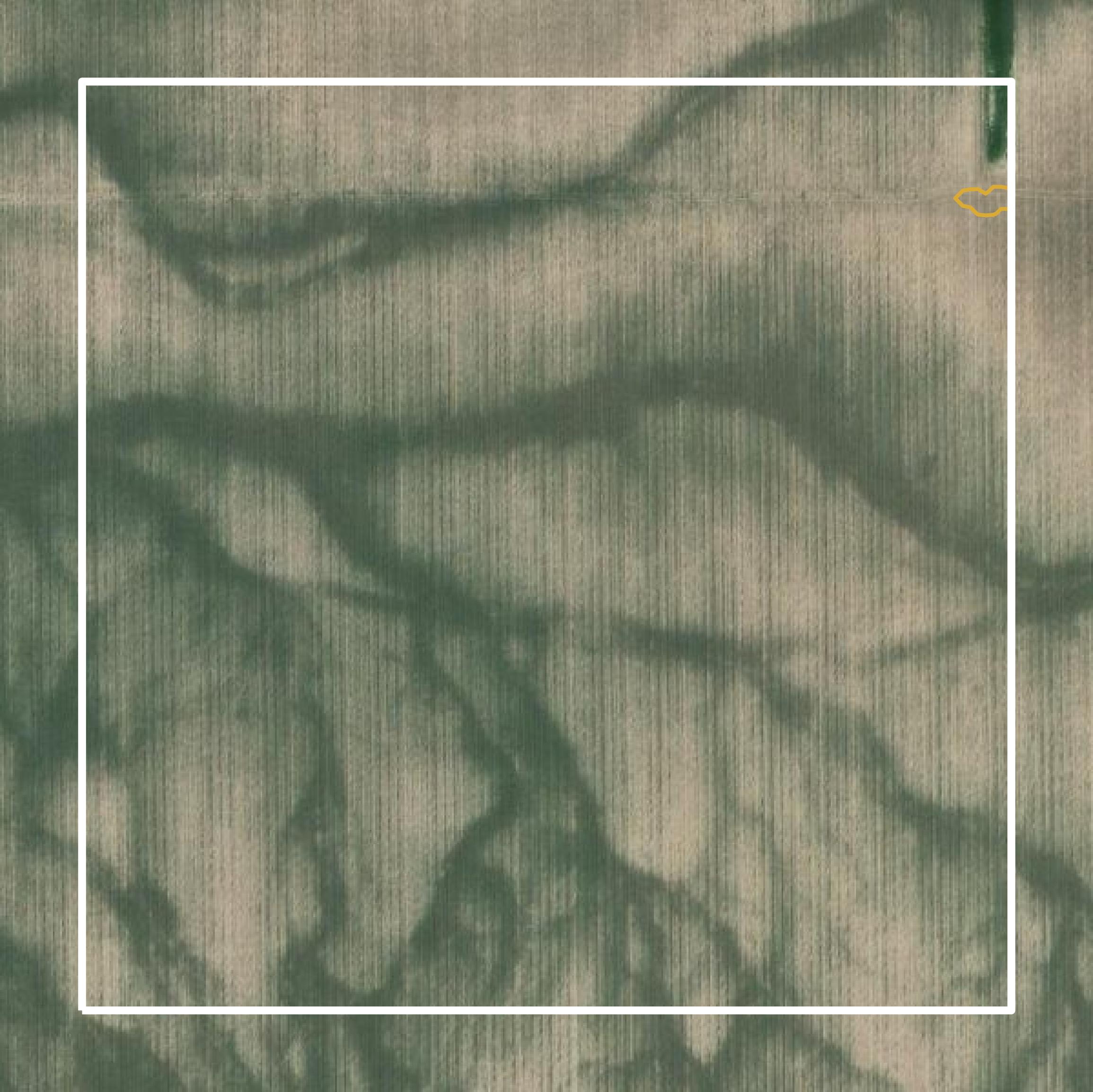 This image shows a contour map in Sharkey County created using GIS data in Equator.