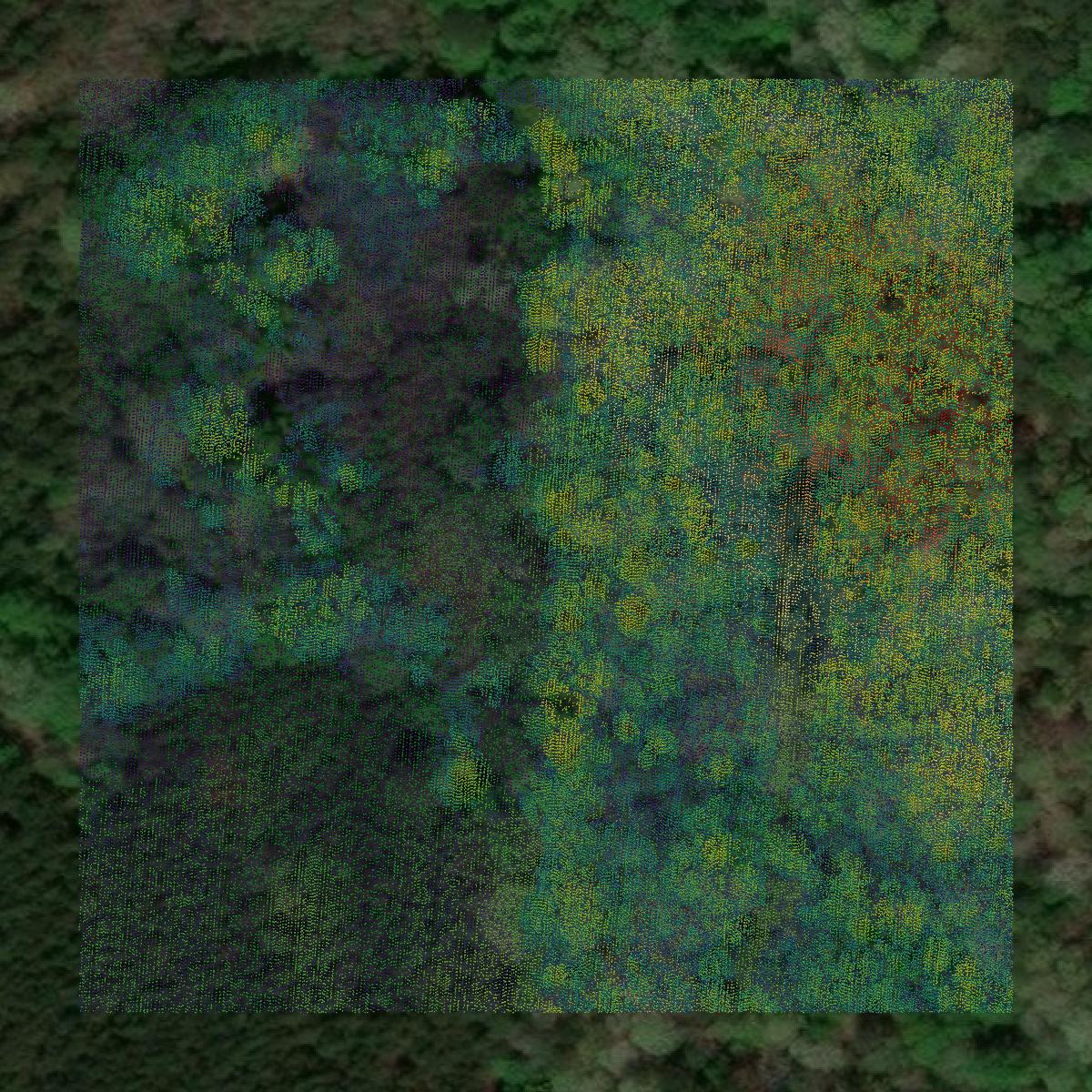 This image shows a LiDAR point cloud in Simpson County created using GIS data in Equator.