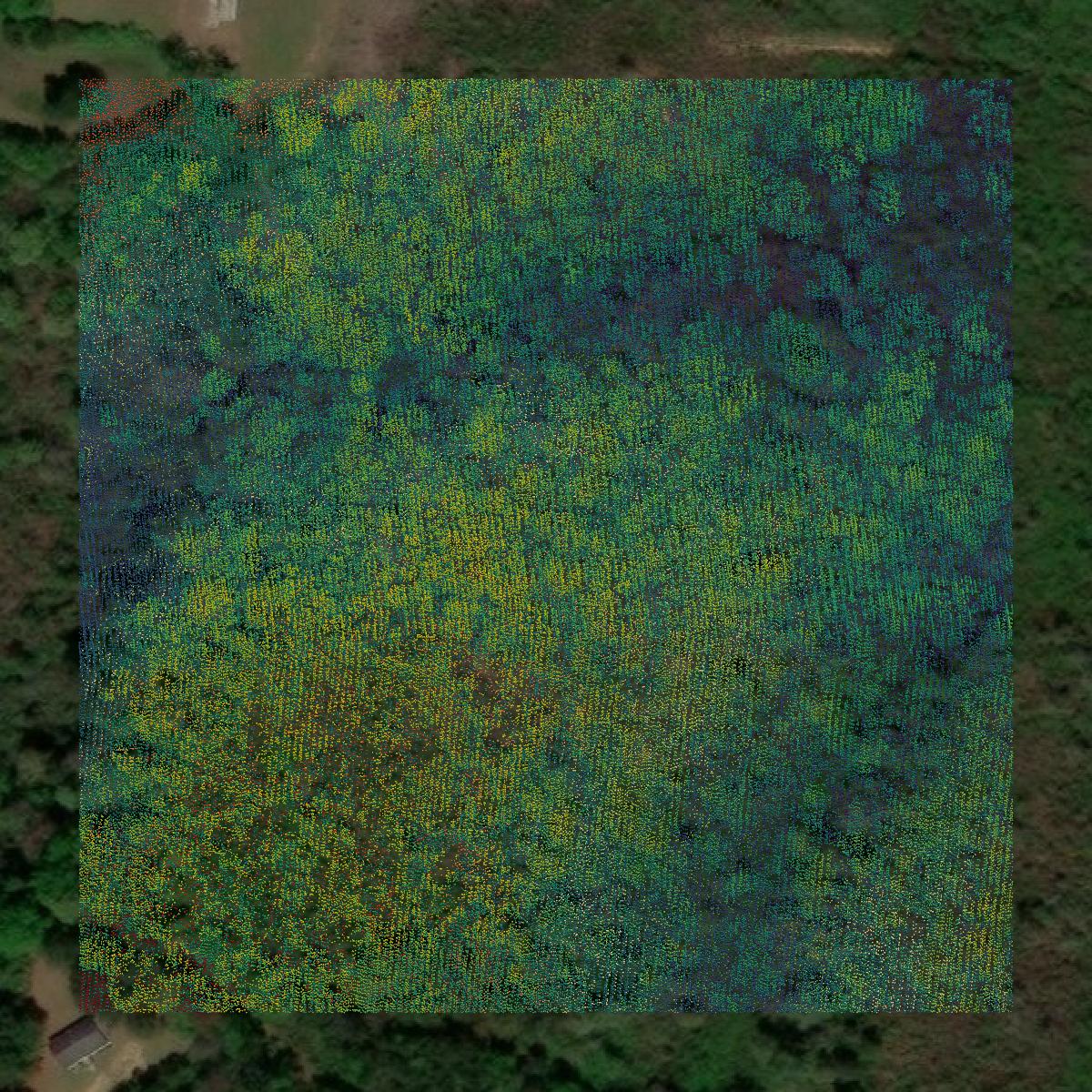 This image shows a LiDAR point cloud in Simpson County created using GIS data in Equator.