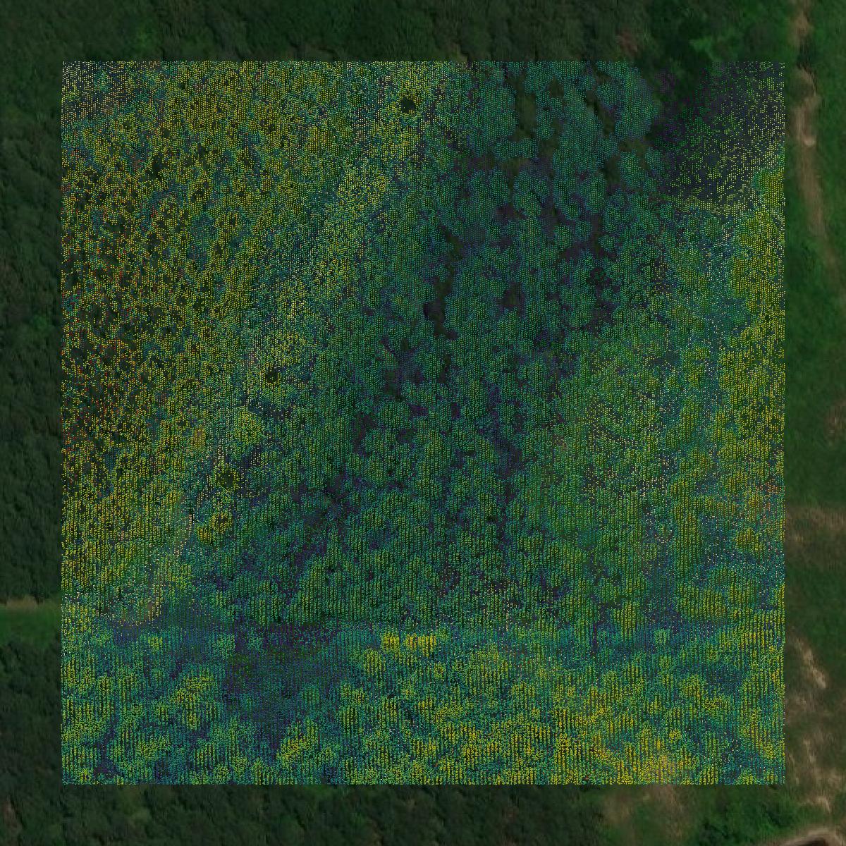 This image shows a LiDAR point cloud in Smith County created using GIS data in Equator.