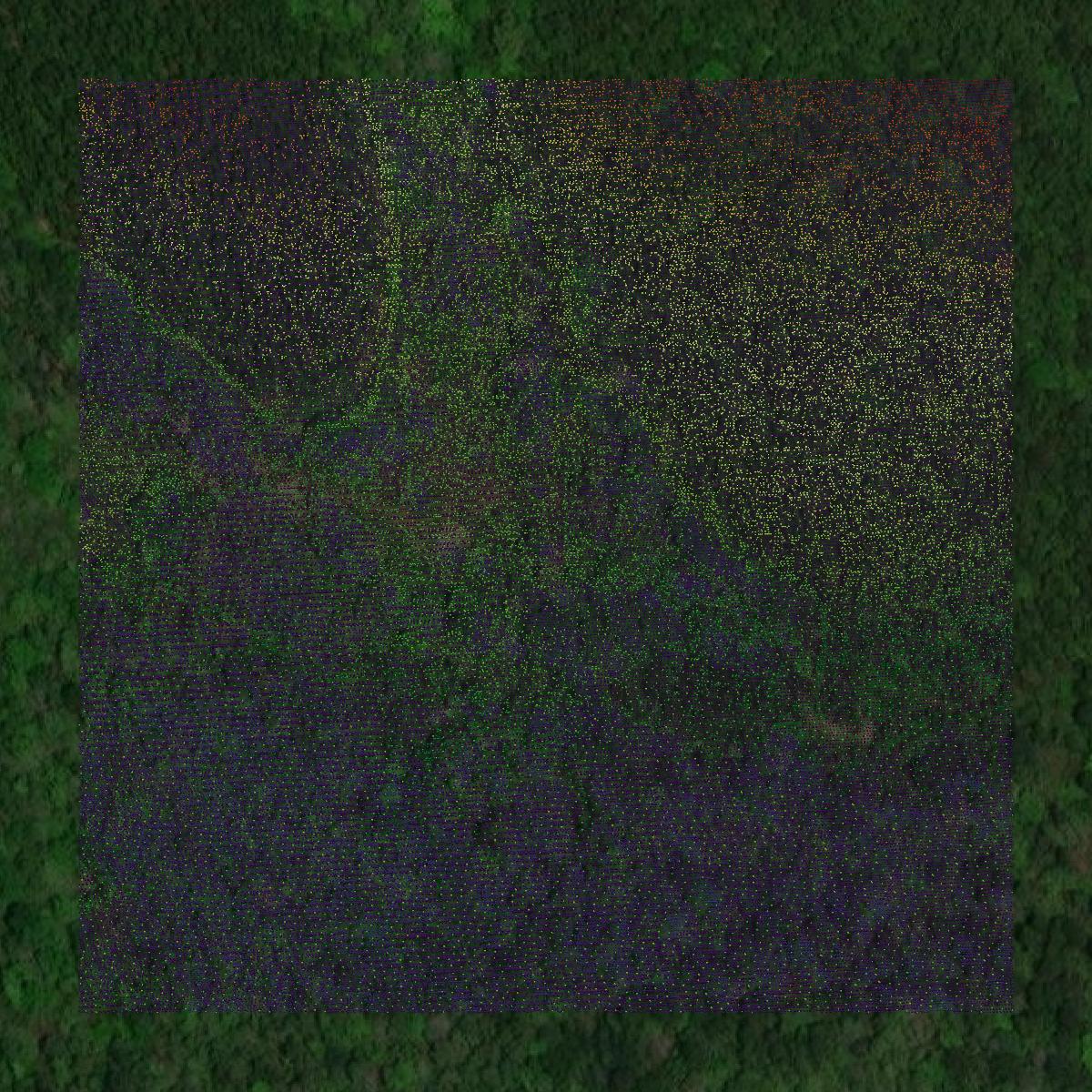 This image shows a LiDAR point cloud in Stone County created using GIS data in Equator.