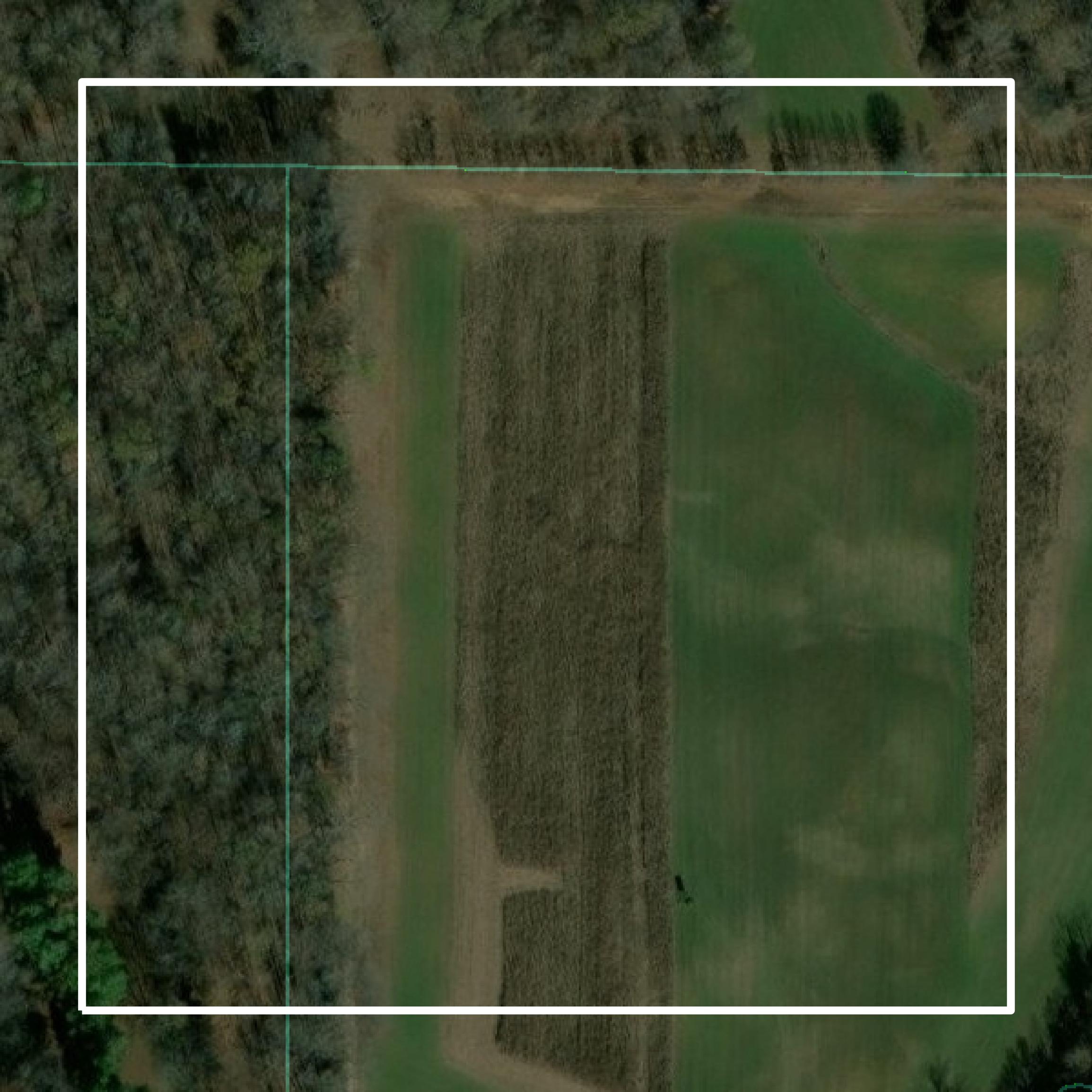 This image shows parcel and building data in Tallahatchie County created using GIS data in Equator.