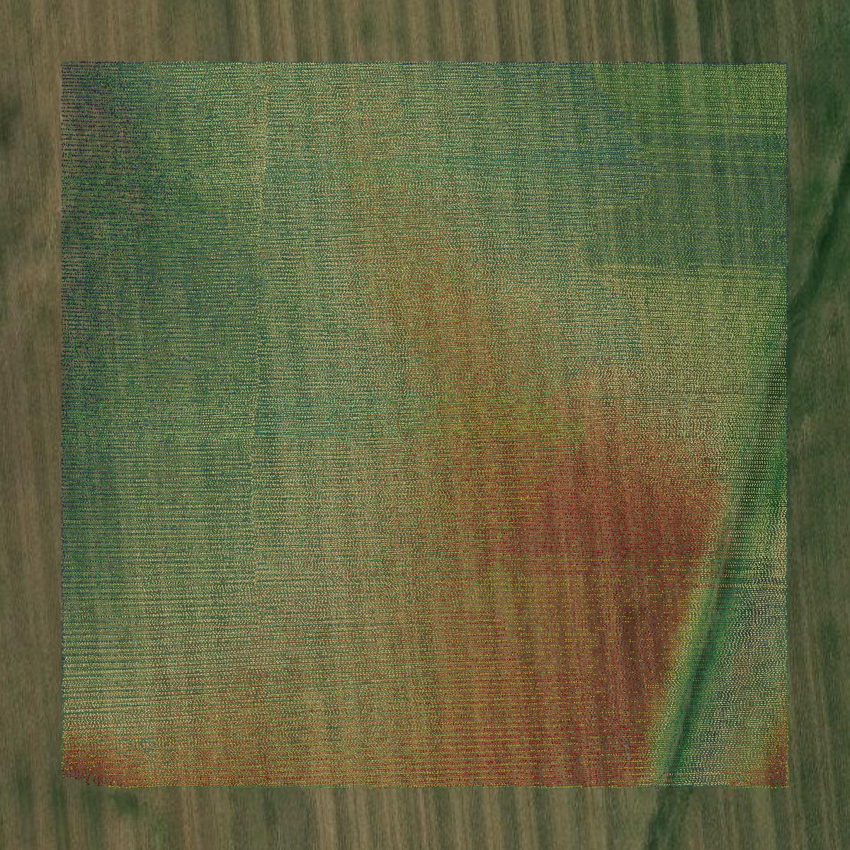 This image shows a LiDAR point cloud in Tate County created using GIS data in Equator.