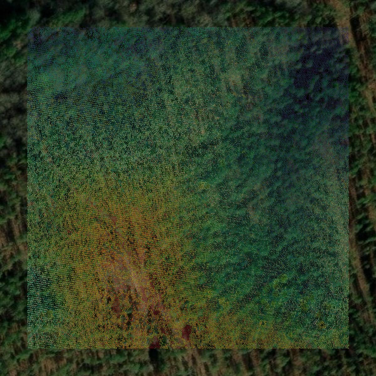This image shows a LiDAR point cloud in Tippah County created using GIS data in Equator.