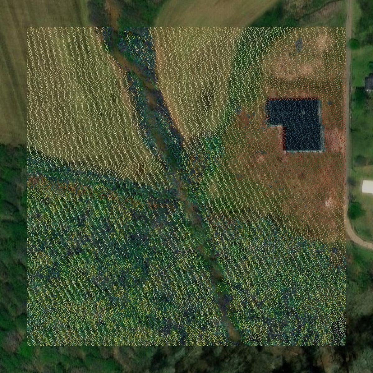 This image shows a LiDAR point cloud in Tippah County created using GIS data in Equator.